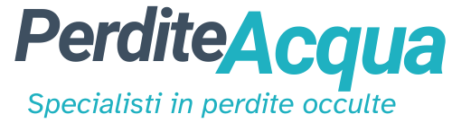 Ricerca perdite d’acqua